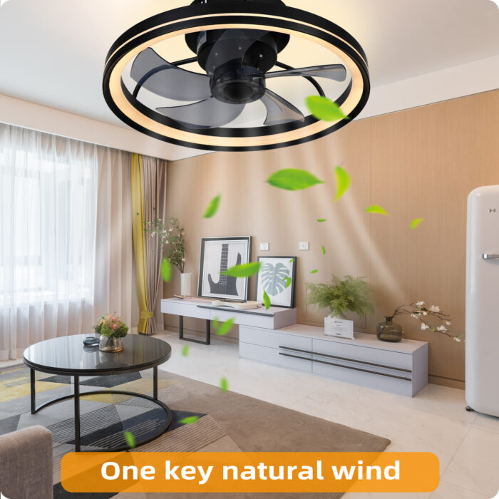 YeetFerret Black Ceiling Fans with Light, 19" Flush Mount Ceiling Fan 3 Color LED 6 Speeds - Image 2